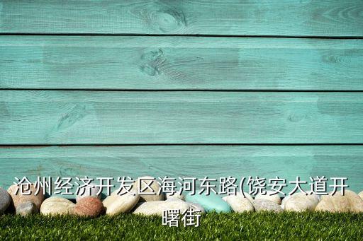 滄州經(jīng)濟(jì)開(kāi)發(fā)區(qū)海河?xùn)|路(饒安大道開(kāi)曙街