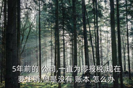 5年前的 公司,一直為零報(bào)稅,現(xiàn)在要注銷(xiāo),但是沒(méi)有 賬本,怎么辦