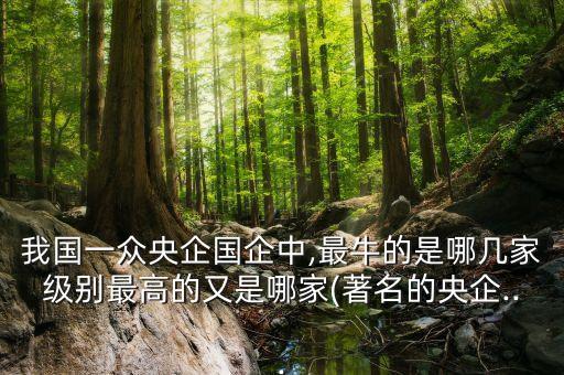 我國一眾央企國企中,最牛的是哪幾家級(jí)別最高的又是哪家(著名的央企...