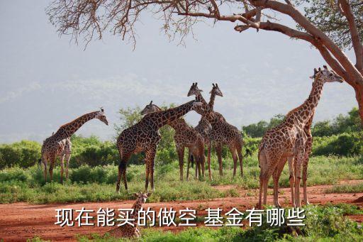 現(xiàn)在能買(mǎi)的做空 基金有哪些