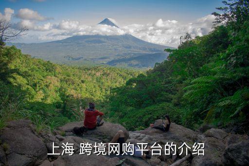  上海 跨境網購平臺的介紹