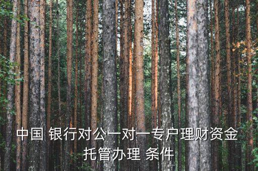 中國 銀行對(duì)公一對(duì)一專戶理財(cái)資金 托管辦理 條件