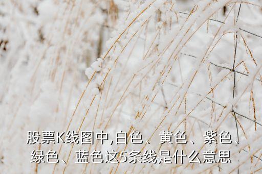  股票K線圖中,白色、黃色、紫色、綠色、藍(lán)色這5條線是什么意思