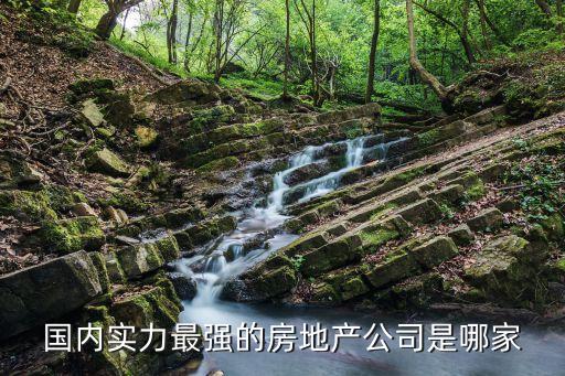 國內(nèi)實力最強的房地產(chǎn)公司是哪家