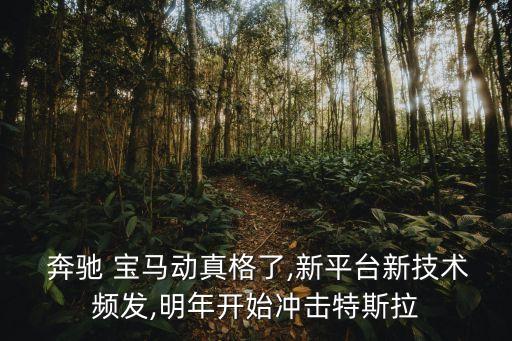  奔馳 寶馬動(dòng)真格了,新平臺(tái)新技術(shù)頻發(fā),明年開(kāi)始沖擊特斯拉