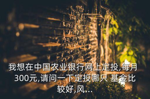 我想在中國農(nóng)業(yè)銀行網(wǎng)上定投,每月 300元,請(qǐng)問一下定投哪只 基金比較好,風(fēng)...