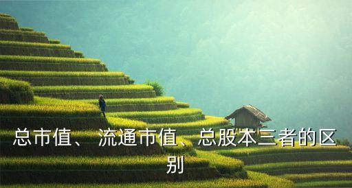 總市值、 流通市值、總股本三者的區(qū)別