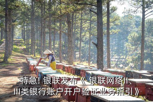 特急! 銀聯(lián)發(fā)布《 銀聯(lián)網(wǎng)絡II、III類銀行賬戶開戶驗證業(yè)務指引》