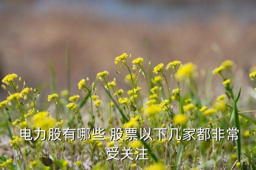  電力股有哪些 股票以下幾家都非常受關注