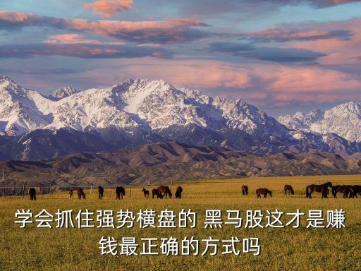 學(xué)會(huì)抓住強(qiáng)勢橫盤的 黑馬股這才是賺錢最正確的方式嗎