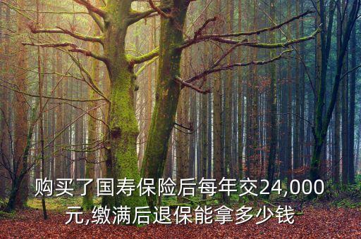 購(gòu)買(mǎi)了國(guó)壽保險(xiǎn)后每年交24,000元,繳滿(mǎn)后退保能拿多少錢(qián)