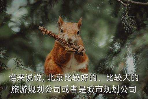 誰來說說, 北京比較好的、比較大的旅游規(guī)劃公司或者是城市規(guī)劃公司