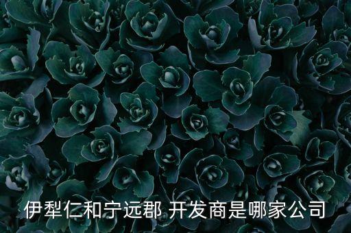 伊犁仁和寧遠(yuǎn)郡 開(kāi)發(fā)商是哪家公司