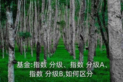  基金:指數(shù) 分級、指數(shù) 分級A、指數(shù) 分級B,如何區(qū)分