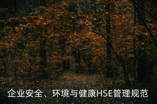 企業(yè)安全、環(huán)境與健康HSE管理規(guī)范