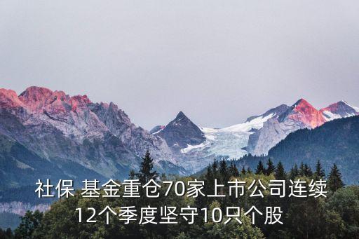 社?；鸪止汕闆r,2023年社保基金持股