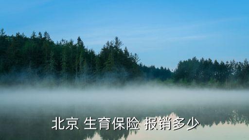  北京 生育保險(xiǎn) 報(bào)銷(xiāo)多少