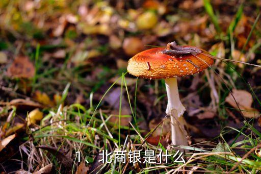 1、北商銀是什么