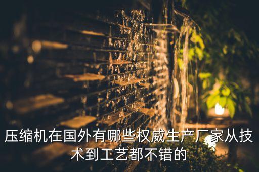 壓縮機在國外有哪些權威生產(chǎn)廠家從技術到工藝都不錯的