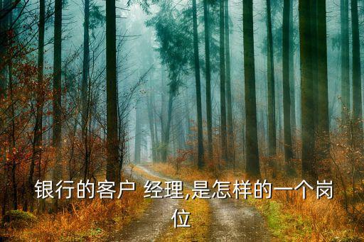  銀行的客戶(hù) 經(jīng)理,是怎樣的一個(gè)崗位