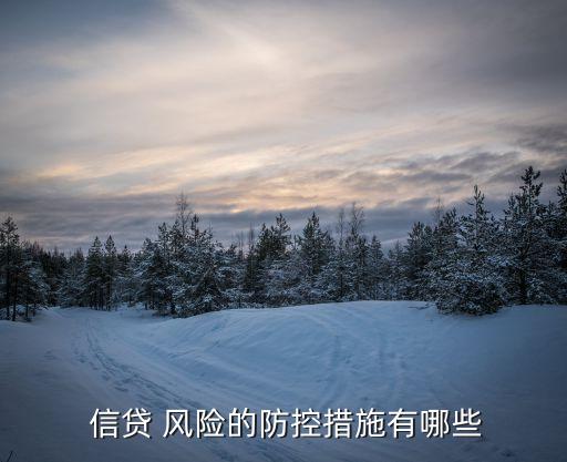  信貸 風險的防控措施有哪些