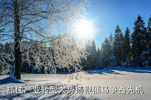 抓住產業(yè)轉型大勢揚鞭催馬爭占先機