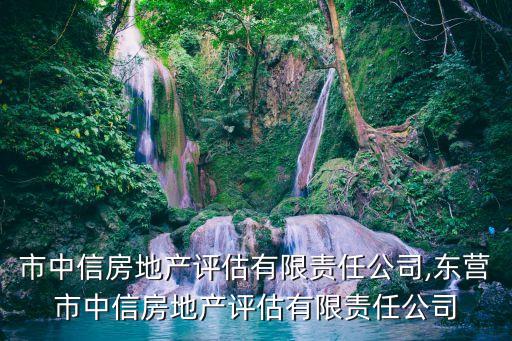 同江市中信房地產評估有限責任公司,東營市中信房地產評估有限責任公司