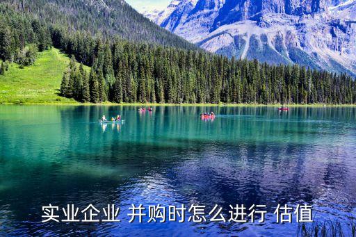 實(shí)業(yè)企業(yè) 并購時怎么進(jìn)行 估值