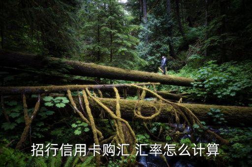 招行信用卡購匯 匯率怎么計(jì)算