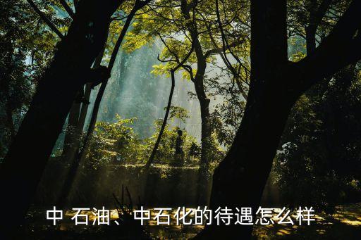 中 石油、中石化的待遇怎么樣
