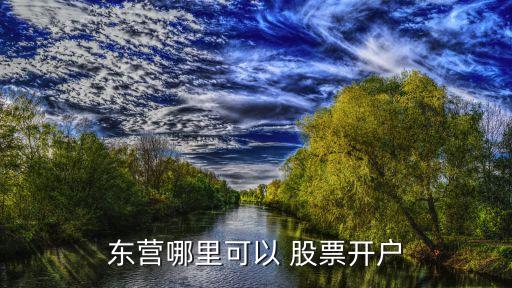 東營(yíng)哪里可以 股票開(kāi)戶