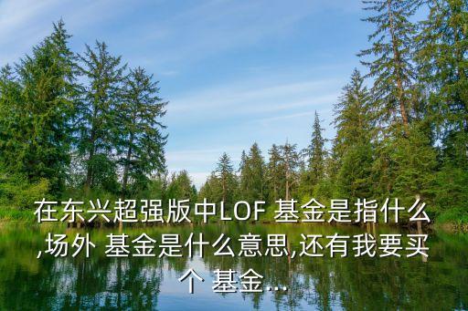 在東興超強(qiáng)版中LOF 基金是指什么,場(chǎng)外 基金是什么意思,還有我要買(mǎi)個(gè) 基金...