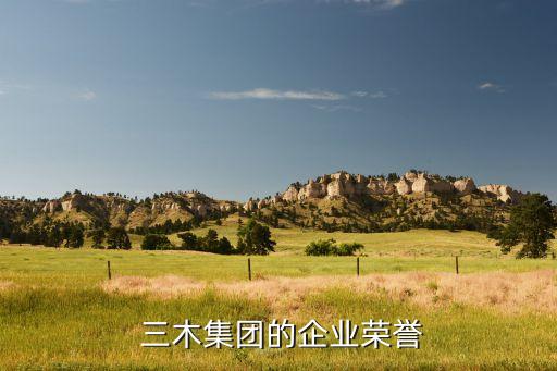  三木集團(tuán)的企業(yè)榮譽