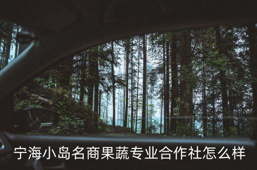  寧海小島名商果蔬專業(yè)合作社怎么樣