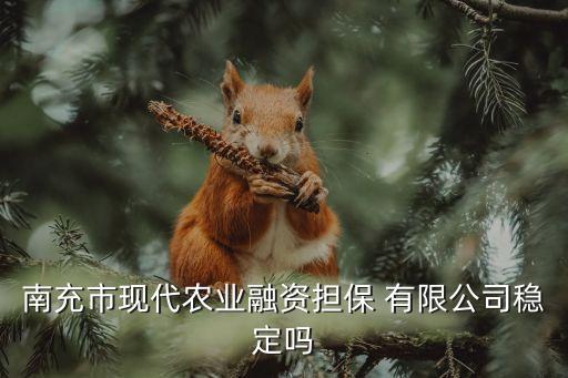 南充市現(xiàn)代農(nóng)業(yè)融資擔保 有限公司穩(wěn)定嗎
