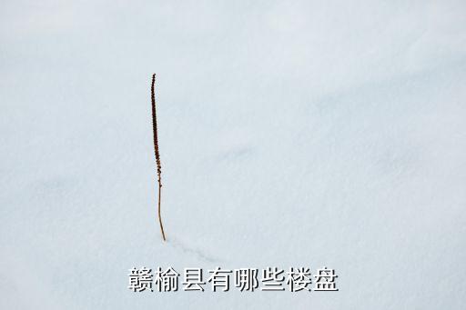 贛榆縣有哪些樓盤(pán)