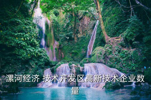 漯河經濟 技術開發(fā)區(qū)高新技術企業(yè)數(shù)量
