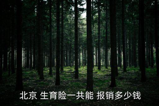  北京 生育險(xiǎn)一共能 報(bào)銷(xiāo)多少錢(qián)