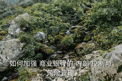 如何加強 商業(yè)銀行的 內部 控制與風險管理