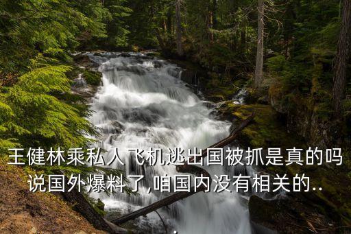 王健林乘私人飛機(jī)逃出國(guó)被抓是真的嗎說國(guó)外爆料了,咱國(guó)內(nèi)沒有相關(guān)的...