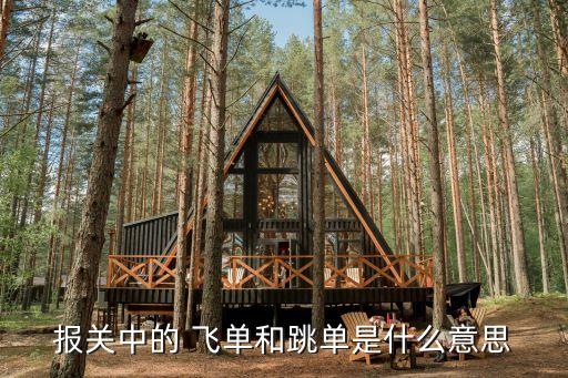 報關(guān)中的 飛單和跳單是什么意思