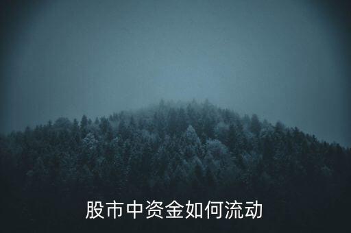 股票與資金流,股票資金流向哪個軟件更準確