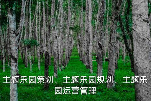 主題樂園策劃、主題樂園規(guī)劃、主題樂園運營管理