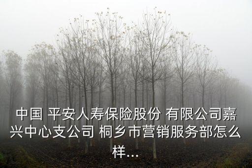 中國(guó) 平安人壽保險(xiǎn)股份 有限公司嘉興中心支公司 桐鄉(xiāng)市營(yíng)銷(xiāo)服務(wù)部怎么樣...