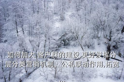 如何加大 客戶群的建設(shè),更好發(fā)揮分層分類營銷機(jī)制、公私聯(lián)動(dòng)作用,拓寬...