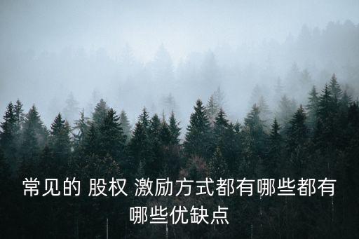 騰訊公司股權(quán)激勵