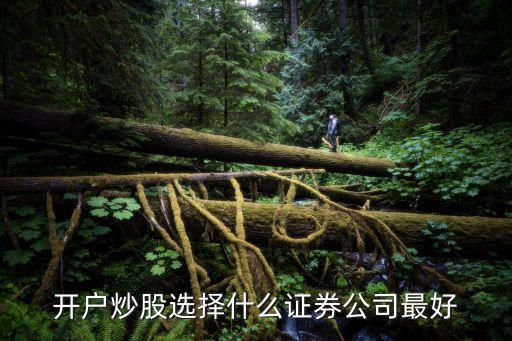 開(kāi)戶炒股選擇什么證券公司最好