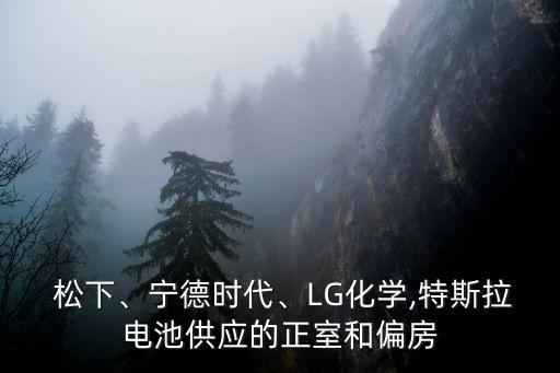  松下、寧德時(shí)代、LG化學(xué),特斯拉電池供應(yīng)的正室和偏房
