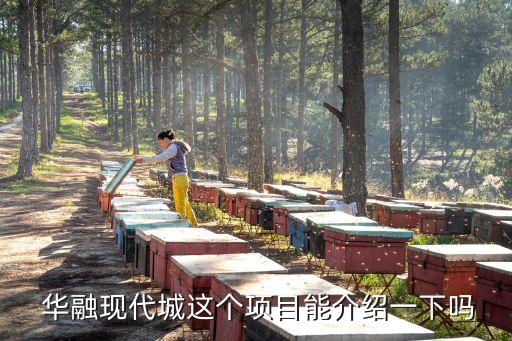  華融現(xiàn)代城這個項(xiàng)目能介紹一下嗎