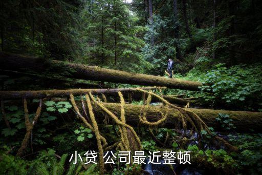 小額貸款公司風(fēng)險分散,根據(jù)風(fēng)險分散,銀行不行貸款